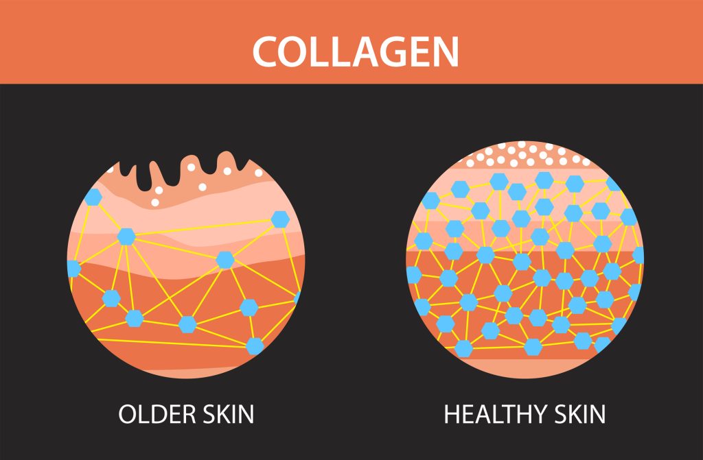 What is Collagen? Why is Collagen Important?